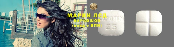 амф Верея