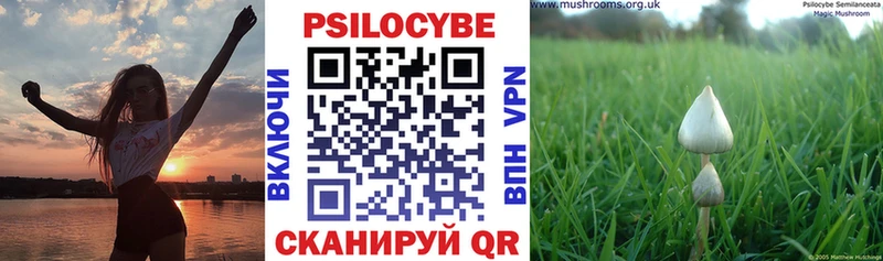 Псилоцибиновые грибы ЛСД  где найти наркотики  Славянск-на-Кубани 